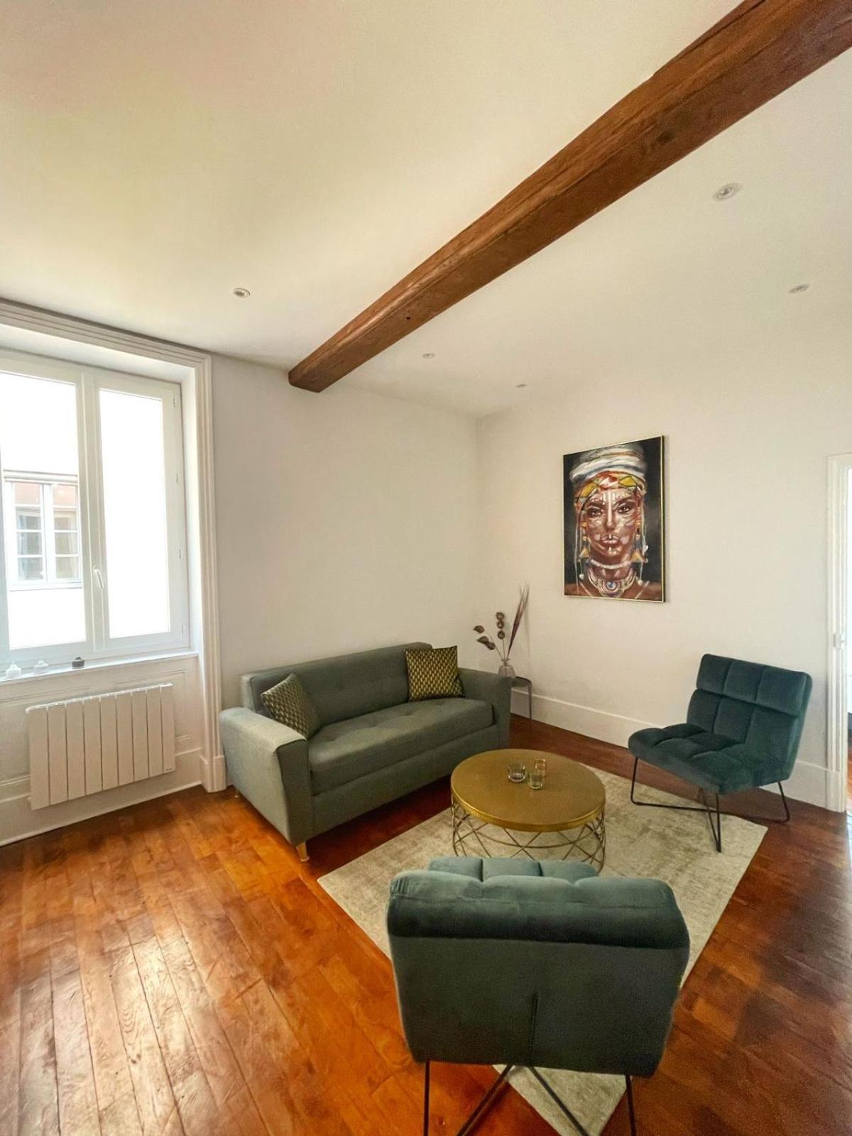 Center Macon Charmant Appartement Avec Vue Sur La Saone Kültér fotó